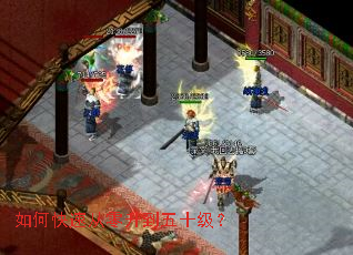 ��ο��ٴ���������ʮ����