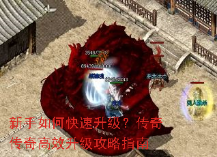 ������ο������������洫���Ч��������ָ��