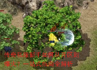 传奇私服新手如何从开区到爆火?一站式指南全解析 传奇私服新手如何从开区到爆火?一站式指南全解析