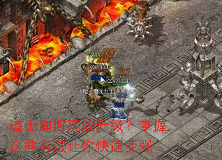 ��ʿ��θ�Ч������������Щ����������ٱ�ǿ