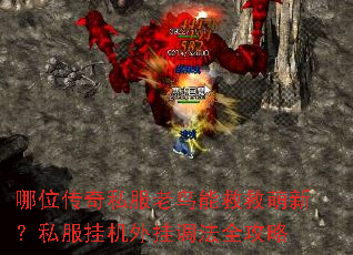 哪位传奇私服老鸟能救救萌新?私服挂机外挂调法全攻略 哪位传奇私服老鸟能救救萌新?私服挂机外挂调法全攻略