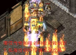 哪位传奇私服老鸟能救救萌新?私服挂机外挂调法全攻略 哪位传奇私服老鸟能救救萌新?私服挂机外挂调法全攻略