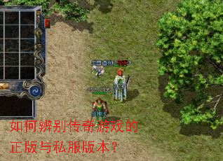 ��α������Ϸ��������˽���汾��