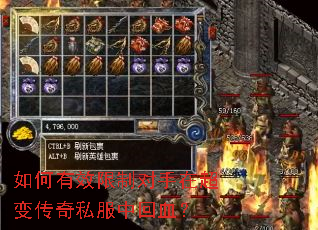 �����Ч���ƶ����ڳ��䴫��˽���л�Ѫ��