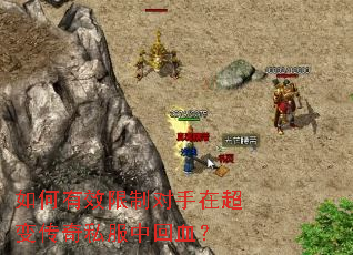 �����Ч���ƶ����ڳ��䴫��˽���л�Ѫ��