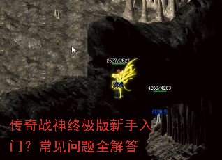 ����ս���ռ����������ţ���������ȫ���