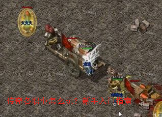 �����ְҵ��ô�棿��������ָ��