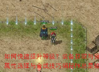 ��ο��������ȼ���װ����ȡ��ǿ��ȫ������δ��켫Ʒװ��������ѡ����ϳɼ��ɽ���PK�����䣿ְҵ������ʵս��λ��ѧ