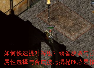 ��ο��������ȼ���װ����ȡ��ǿ��ȫ������δ��켫Ʒװ��������ѡ����ϳɼ��ɽ���PK�����䣿ְҵ������ʵս��λ��ѧ