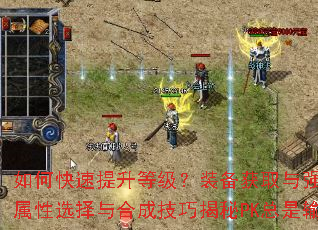 ��ο��������ȼ���װ����ȡ��ǿ��ȫ������δ��켫Ʒװ��������ѡ����ϳɼ��ɽ���PK�����䣿ְҵ������ʵս��λ��ѧ