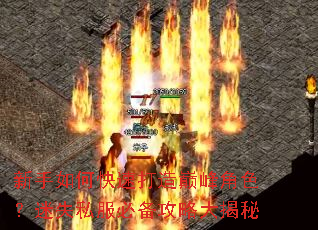 ������ο��ٴ����۷��ɫ����ʧ˽���ر����Դ����