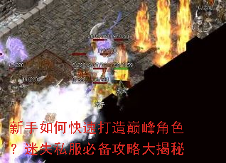 ������ο��ٴ����۷��ɫ����ʧ˽���ر����Դ����