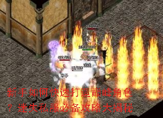 ������ο��ٴ����۷��ɫ����ʧ˽���ر����Դ����