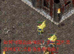 ����ư������񹬣�̰�����»�սPK���淨��ǿ����ָ�ϣ�