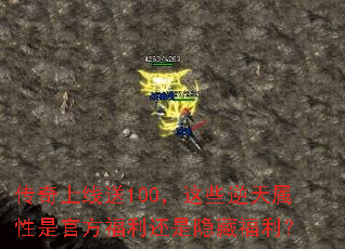 ����������100����Щ���������ǹٷ������������ظ�����