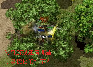 ������Ϸ������Щ�����Ż���ϸ�ڣ�