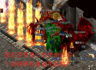 ���ڻ������ĵĴ��������α�𲢱���ȿӣ�