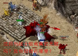 ��ʦ��սʿ�������޵��������̰������