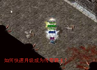 ��ο���������Ϊ���������