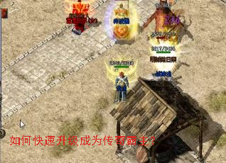 ��ο���������Ϊ���������