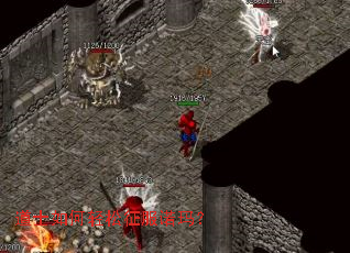 道士如何轻松征服诺玛? 道士如何轻松征服诺玛?