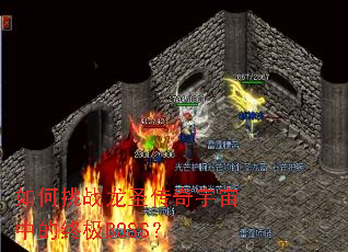 �����ս��ʥ���������е��ռ�BOSS��