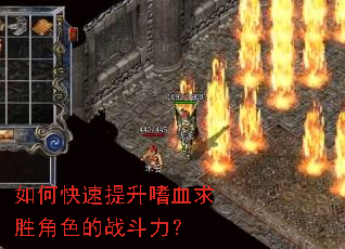 ��ο���������Ѫ��ʤ��ɫ��ս������