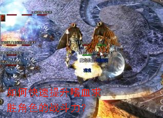 ��ο���������Ѫ��ʤ��ɫ��ս������