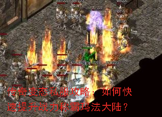 �����̬˽�����ԣ���ο�������ս���ư��귨��½��