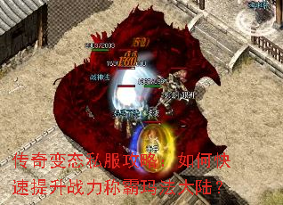 �����̬˽�����ԣ���ο�������ս���ư��귨��½��