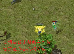 ��θ�Ч��ɱ������������ұر��ĵ÷���