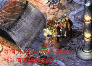 ��ζ��켫Ʒװ�����ɽٷ�������Щ�ر����ɣ�