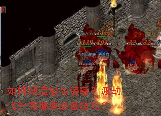 ��ζ��켫Ʒװ�����ɽٷ�������Щ�ر����ɣ�