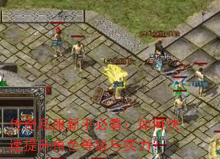 传奇私服新手必看:如何快速提升角色等级与实力? 传奇私服新手必看:如何快速提升角色等级与实力?