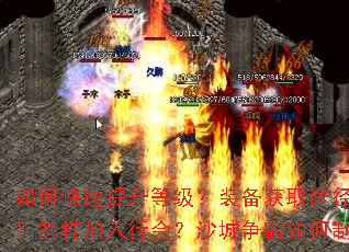 ��ο��������ȼ���װ����ȡ;������Щ�����������л᣿ɳ�����������ʤ��