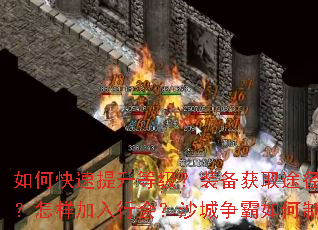 ��ο��������ȼ���װ����ȡ;������Щ�����������л᣿ɳ�����������ʤ��