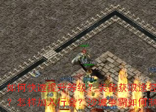 ��ο��������ȼ���װ����ȡ;������Щ�����������л᣿ɳ�����������ʤ��