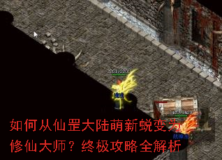 ��δ����½�����ɱ�Ϊ���ɴ�ʦ���ռ�����ȫ����