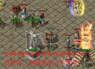 如何彻底清除传奇私服中的非法程序,保障游戏公平竞争? 如何彻底清除传奇私服中的非法程序,保障游戏公平竞争?