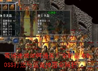 ѩ���Գ����ͨ�أ�ȫ�¸���BOSS����װ������ȫ����