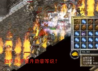 ��ο�������ѫ�µȼ���