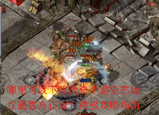 ����������ش������α�̬�滥ͨ�ٷ����棿�ռ�����ָ��