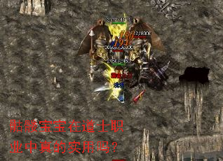 ���ñ����ڵ�ʿְҵ�����ʵ����