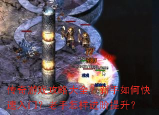 ������Ϸ���Դ�ȫ��������ο������ţ�������������������