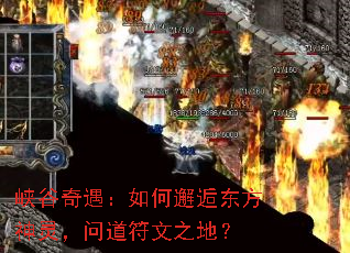 Ͽ��������������˶������飬�ʵ�����֮�أ�