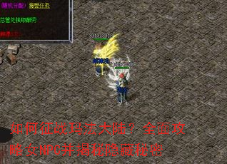 �����ս�귨��½��ȫ�湥��ŮNPC��������������