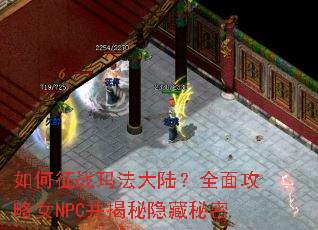 �����ս�귨��½��ȫ�湥��ŮNPC��������������