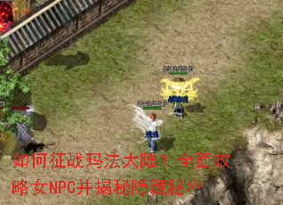 �����ս�귨��½��ȫ�湥��ŮNPC��������������