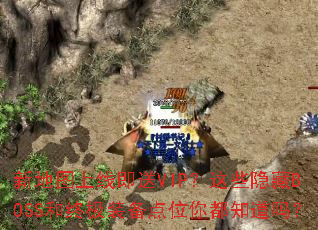 �µ�ͼ���߼���VIP����Щ����BOSS���ռ�װ����λ�㶼֪����