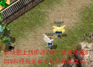 �µ�ͼ���߼���VIP����Щ����BOSS���ռ�װ����λ�㶼֪����